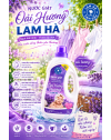 Một lần giặt, một lần thương